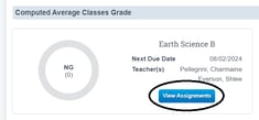 View Assignments icon